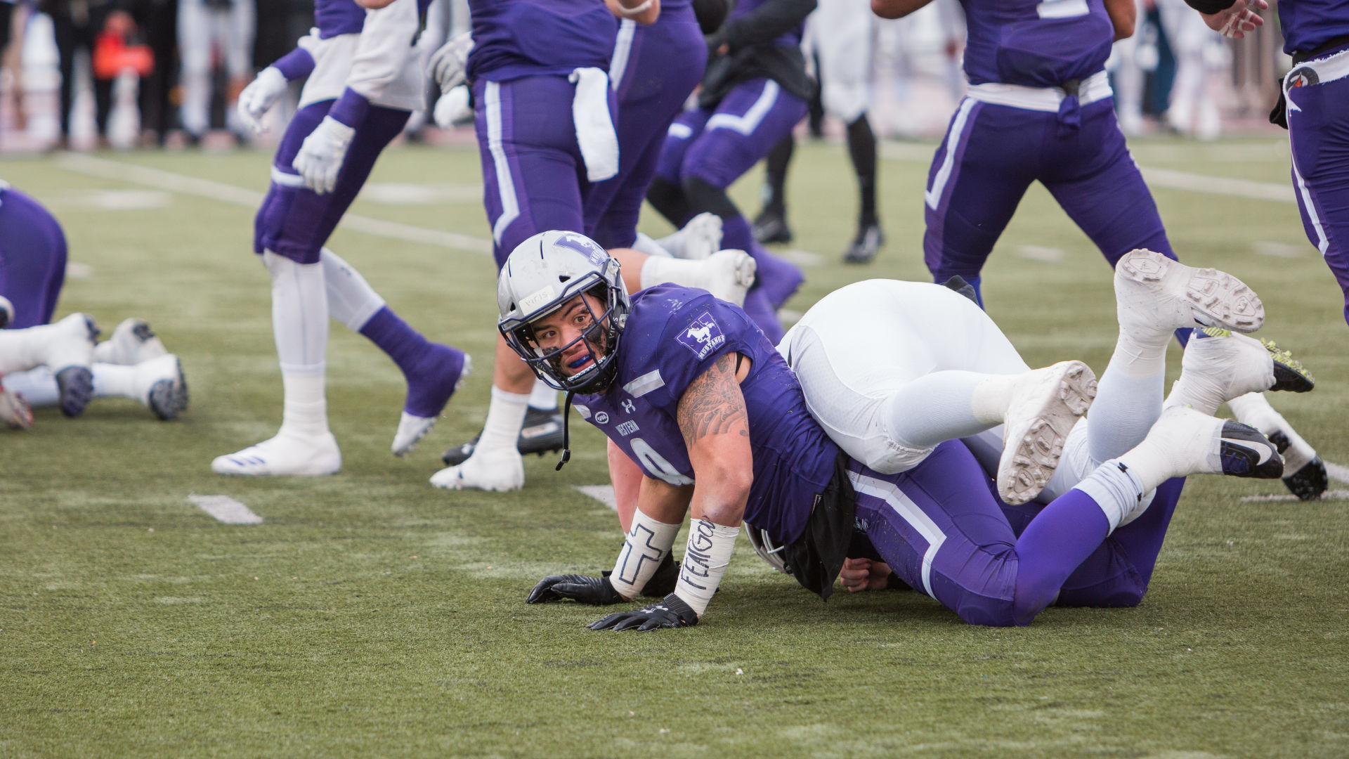 Yates Cup 4